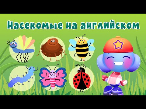 Видео: Насекомые на английском | Английский для детей | Учим слова вместе с Buddy.ai
