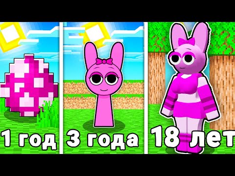 Видео: КАК МЕНЯЛАСЬ ДЕВУШКА ПИНКИ В МАЙНКРАФТ?