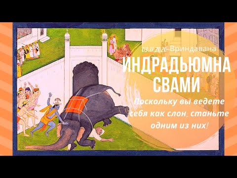 Видео: "Раз ведешь себя как слон, так стань слоном!" Серия лекций во Вриндаване. Индрадьюмна Свами.