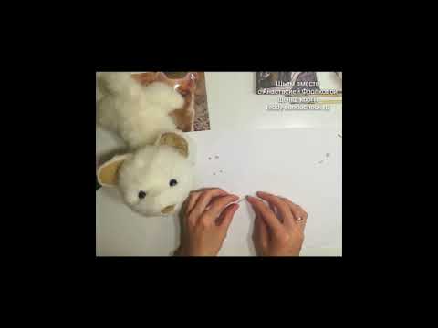 Видео: МК Корги. Урок 11.4 Лепка зубов продолжение.