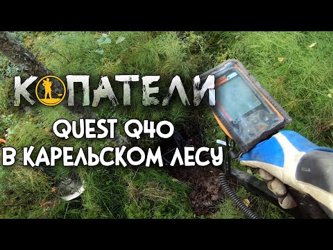 Видео: Металлоискатель Quest Q40 в карельском лесу