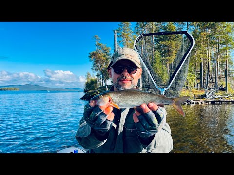 Видео: ЭКСПЕДИЦИЯ В КАРЕЛИЮ - идем на север! Этап 1: Пяозеро, шторм, туман, кемпинг, рыбалка, Паанаярви.