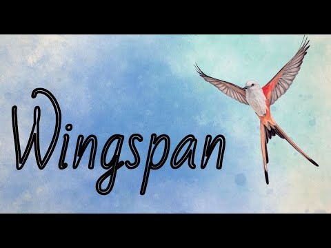 Видео: Wingspan (Крылья) №1
