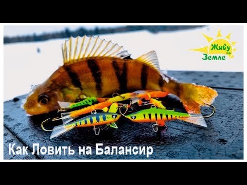 Видео: Как Ловить на Балансир. Ловля окуня зимой. Подводная Видеосъемка