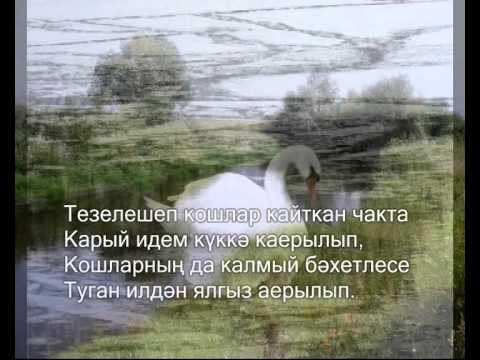 Видео: Фердинанд Сәлахов - "Сагыш"