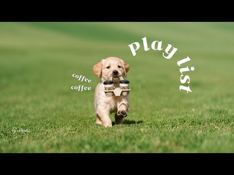 Видео: 𝐏𝐥𝐚𝐲𝐥𝐢𝐬𝐭 [Cafe] Осеннее утро с кофе для хорошего настроения🎵 Счастье на работе растет ⬆️