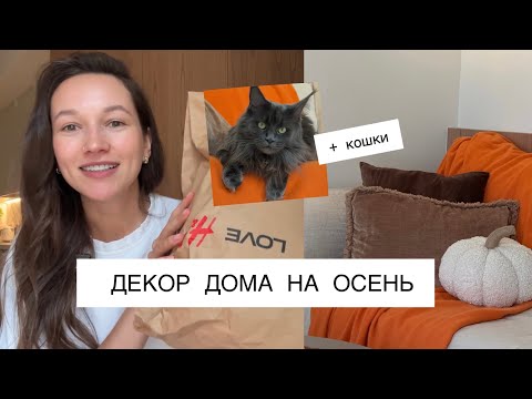 Видео: До/после. Распаковка. Сколько стоит.