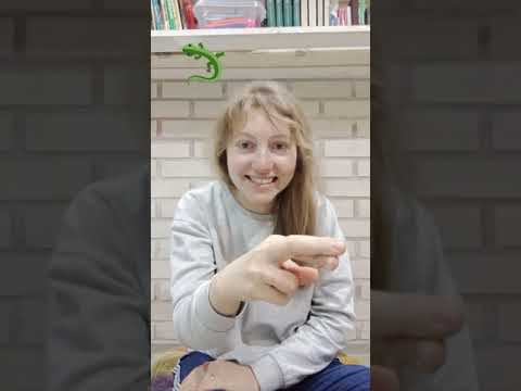 Видео: Животные на Русском Жестовом Языке