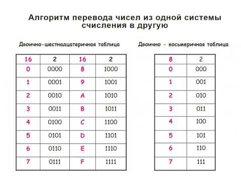 Видео: консультация по информатике.