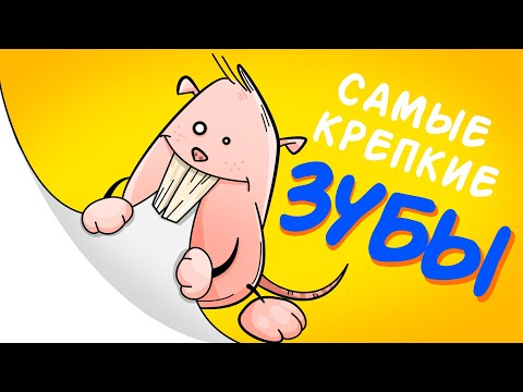 Видео: Фёкла: Зубная забота | Зубы (анимация) Автор проекта Доброхотова Наталья