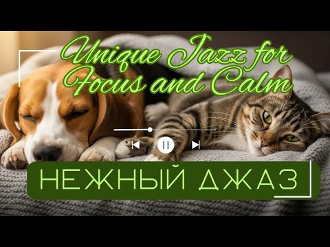 Видео: Unique Jazz for Focus and Calm/Нежный джаз для расслабления и учебы