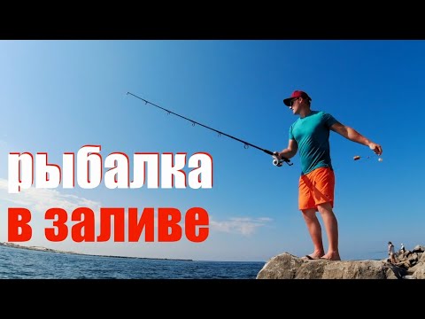 Видео: Рыбалка в мексиканском заливе. Лето 2021 в Панама сити бич