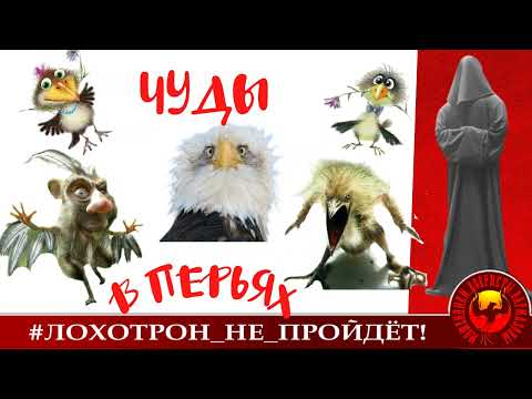 Видео: Чуда в перьях... (Автор - Станислав)