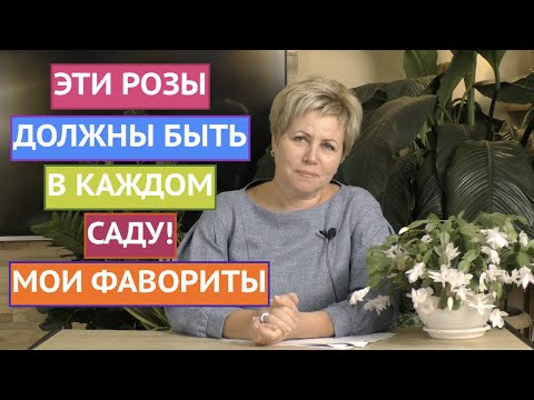 Видео: ВОТ ЭТО РОЗЫ! О НИХ МЕЧТАЕТ КАЖДЫЙ САДОВОД!