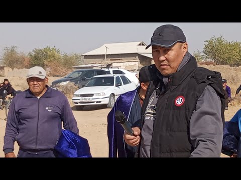 Видео: НИШОН ТУМАНИ 23-СОВХОЗДА КУРАШ 09.11.2025.