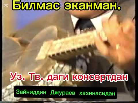 Видео: 31 октября 2025 г.