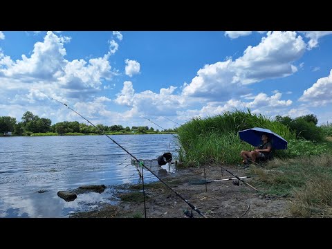 Видео: Проста рибалка на річці Дністер. Ловля карася на флет, макушатники. Готую ШАКШУКУ на березі річки