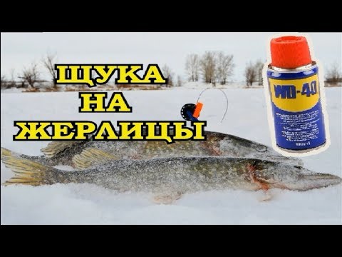 Видео: ЩУКА НА ЖЕРЛИЦЫ НА WD-40. Я НЕ ОЖИДАЛ ТАКОГО РЕЗУЛЬТАТА.