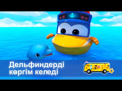 Видео: Қайсар автобус.2-маусым - Бөлім 26.Дельфиндерді көргім келеді - Мультфильмдер