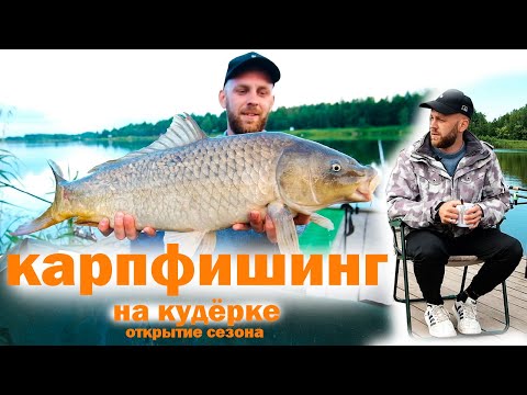 Видео: Карповая рыбалка на кудёрке!