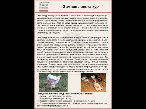 Видео: Линька у кур -несушек,  что делать?