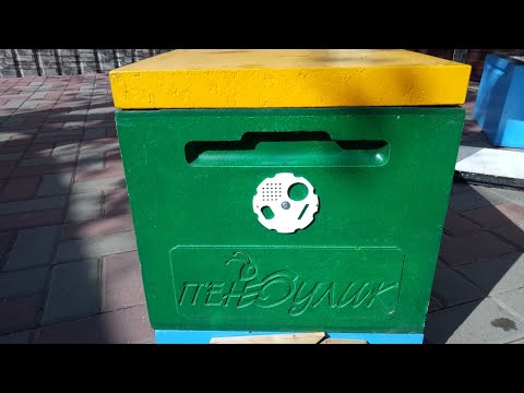 Видео: Дезинфекция пеноуликов.