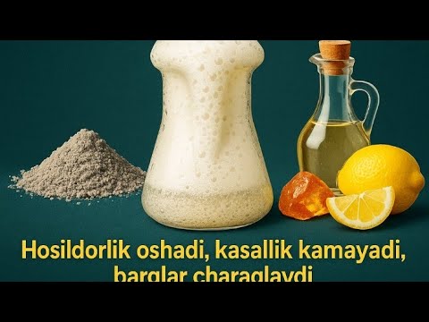Видео: 268-в.Экинлар учун КУЛ дан тўғри фойдаланиш тартиби ҳақида.            1-iyul, 2025