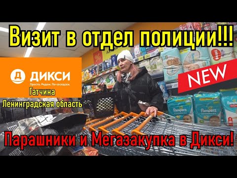 Видео: ВИЗИТ В ОТДЕЛ ПОЛИЦИИ / ПАРАШНИКИ И МЕГАЗАКУПКА В ДИКСИ