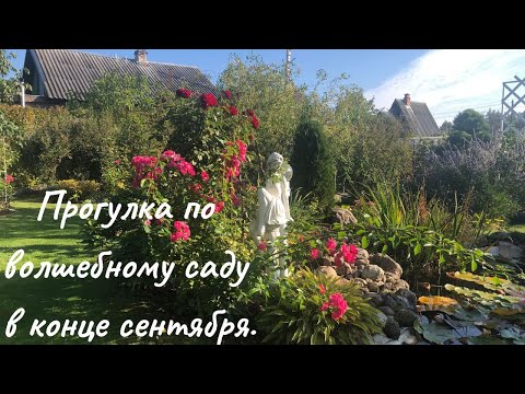 Видео: Прогулка по волшебному саду в конце сентября. Exploring the Magical Garden.