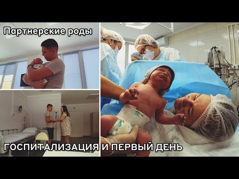 Видео: Шиндяевы: Наши платные партнерские роды/ Плановое кесарево