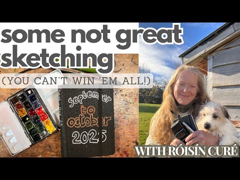 Видео: Некоторые не очень хорошие зарисовки — всех не победишь!