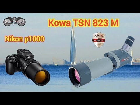 Видео: Kowa TSN 823 M & Nikon p1000. Тесты