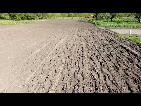 Видео: Мототяпка Чемпион /// Отзыв после двухлетней эксплуатации