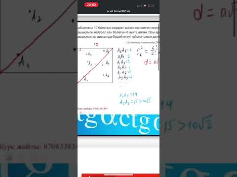 Видео: 1 ноября 2025 г.