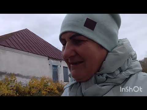 Видео: 17.10. 2025.как живут в русской деревне 