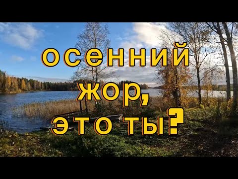 Видео: Рыбалка на лодке осенью, середина октября. Это и есть осенний жор ?