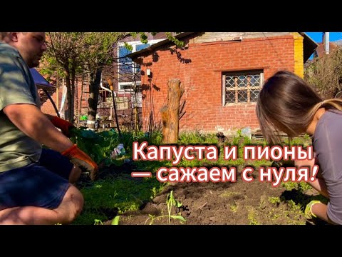Видео: Весна на даче: капуста, пионы и наша первая большая посадка! ЗАБРОШЕННАЯ ДАЧА #4