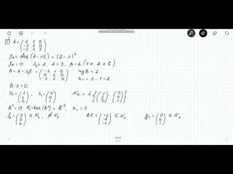 Видео: ЖНФ  Задача 2