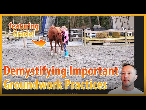 Видео: Будьте безопаснее с лошадьми. Избегайте распространенных проблем с землей.