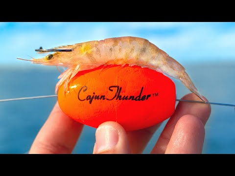 Видео: Ловля рыбы на КАЖДЫЙ заброс с использованием ЖИВЫХ креветок под хлопающей пробкой