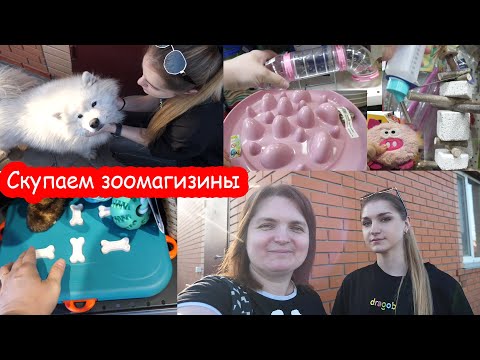 Видео: VLOG Скупили половину зоомагазинов города