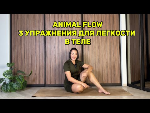 Видео: ANIMAL FLOW. 3 УПРАЖНЕНИЯ ДЛЯ ЛЕГКОСТИ В ТЕЛЕ