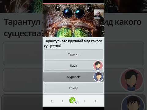 Видео: ВОПРОСЫ ЧУТЬ ПОВЫШЕННОЙ СЛОЖНОСТИ - Quizzland серия 19
