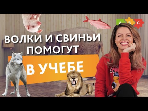 Видео: Используем яркие образы для эффективного пополнения словарного запаса