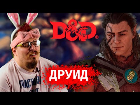 Видео: Гайд на Друида в D&D, разбор правил Dungeon & Dragons