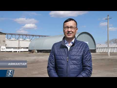 Видео: Қостанай. Көктемгі егіс науқаны І Аймақтар