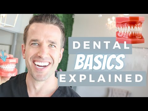 Видео: Основы стоматологии | Номера зубов | Поверхности зубов