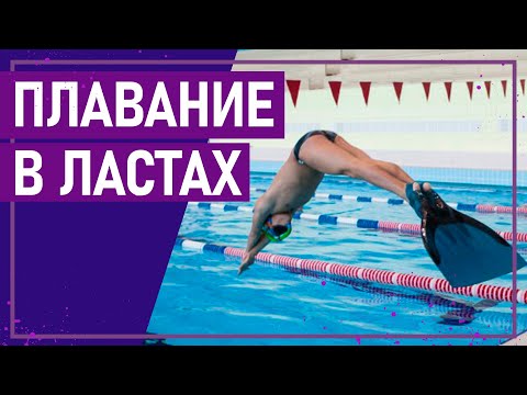 Видео: Вот это спорт! ПЛАВАНИЕ В ЛАСТАХ