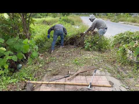 Видео: ОЧИСТИТЬ обе стороны ТРОТУАРНОГО КОРИДОРА от заросшей травы ШОК Трансформация