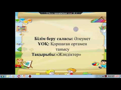 Видео: Жəндіктер